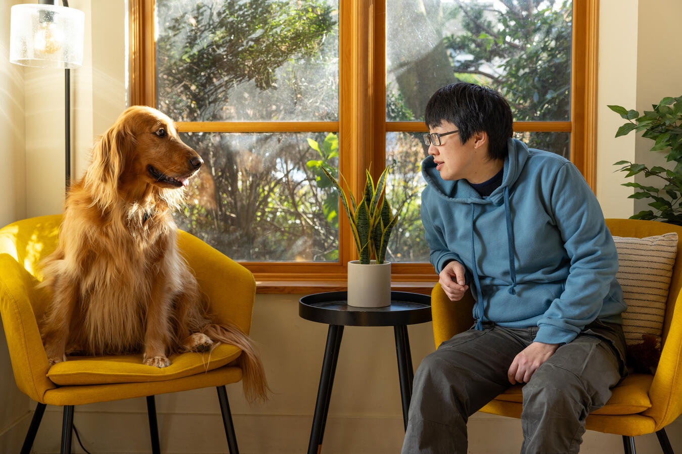 we are talking about your dogs (photo by Mike Quinlan) we are talking about your dogs (photo by Mike Quinlan)